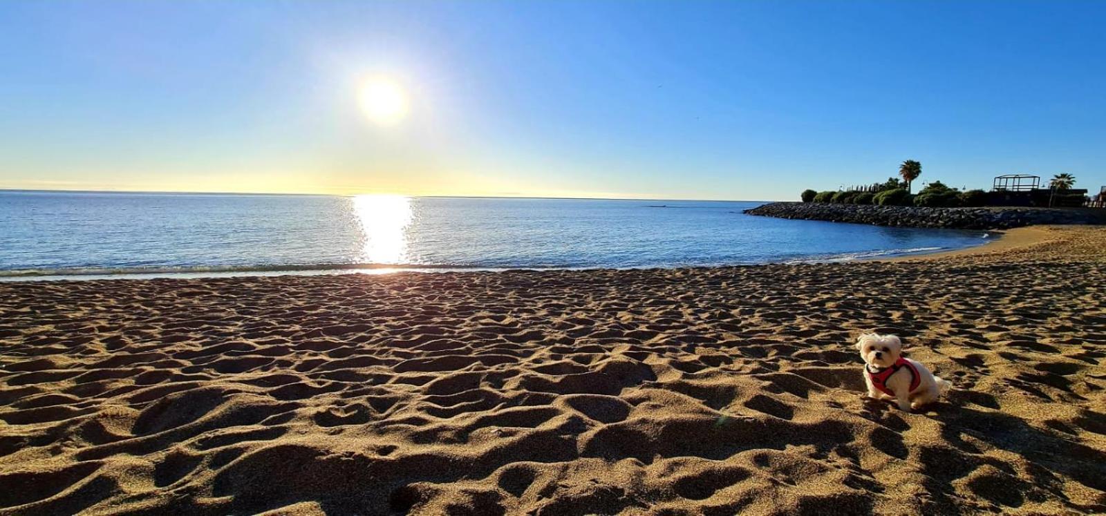 Apartamentos Magic Benalbeach By Benalnova Benalmádena Eksteriør billede